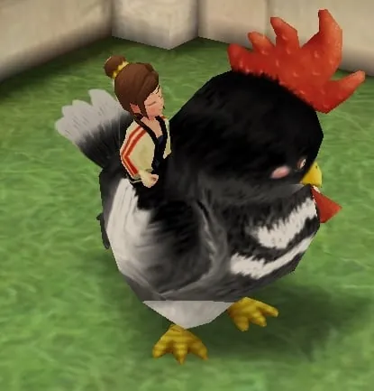 Black Chicken
